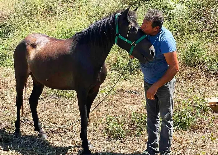 Lily Home_lefkada ~ Private Holiday home